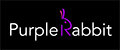 Аналитика бренда Purple rabbit на Wildberries