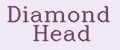 Аналитика бренда Diamond Head на Wildberries