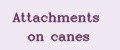 Attachments on canes