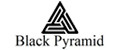 Аналитика бренда Black Pyramid на Wildberries