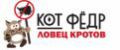 Кот Федор