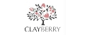 Аналитика бренда ClayBerry на Wildberries