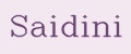 Saidini
