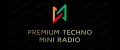 Premium techno mini radio