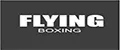 FLYING BOXING