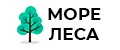 Море леса