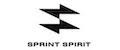 Аналитика бренда SPRINT SPIRIT на Wildberries