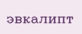 Эвкалипт