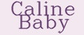 Аналитика бренда Caline Baby на Wildberries