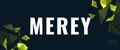 Аналитика бренда Merey на Wildberries