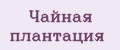 ЧАЙНАЯ ПЛАНТАЦИЯ