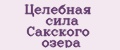 Аналитика бренда Целебная сила Сакского озера на Wildberries