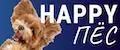 HappyПёс