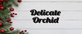 Аналитика бренда Delicate Orchid на Wildberries