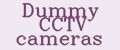 Аналитика бренда Dummy CCTV cameras на Wildberries