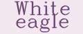 white eagle