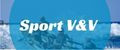 Аналитика бренда Sport V&V на Wildberries