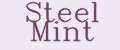 Аналитика бренда Steel Mint на Wildberries