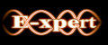 E-xpert