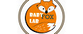 Babyfoxlab