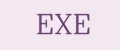 EXE