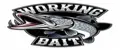 WorkingBaits