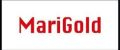 MARIGOLD