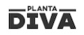 PLANTA DIVA