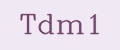 Tdm1