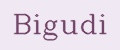 Bigudi