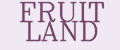 Аналитика бренда FRUIT LAND на Wildberries