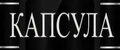 Капсула