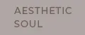 AESTHETIC SOUL