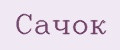 Сачок