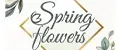 Spring Flowers