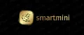 smartmini