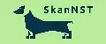 Skann