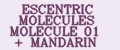 ESCENTRIC MOLECULES MOLECULE 01 + MANDARIN