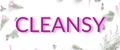 cleansy