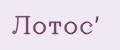 Лотос'