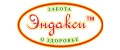 ООО ТД ЭНДАКСИ