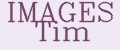 IMAGES Tim