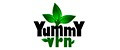 Аналитика бренда Yummy Vrn на Wildberries