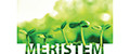 Меристем