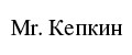 Mr. Кепкин