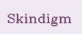 SKINDIGM
