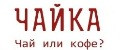 Чайка!