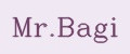 Mr.Bagi
