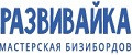 Мастерская Развивайка