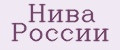 Аналитика бренда Нива россии на Wildberries